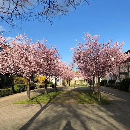 Sauberes Business Nahe Innenstadt Und Schloss Apartament Ludwigsburg